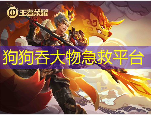 狗狗吞大物急救平臺(tái)