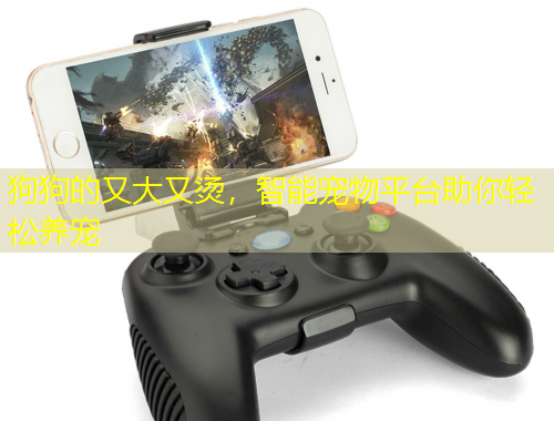 狗狗的又大又燙，智能寵物平臺助你輕松養(yǎng)寵