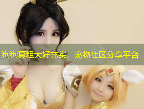 狗狗真粗大好充實(shí)，寵物社區(qū)分享平臺(tái)