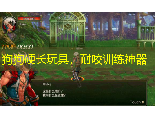 狗狗硬長(zhǎng)玩具，耐咬訓(xùn)練神器