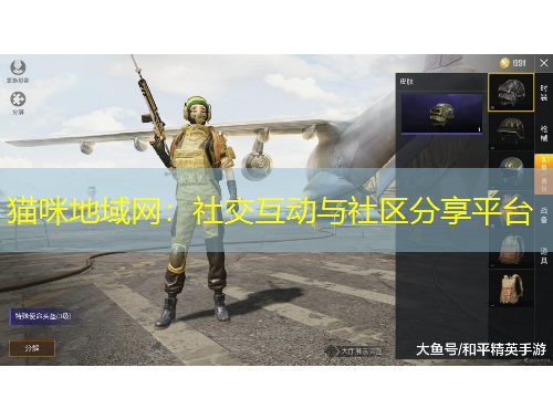 貓咪地域網(wǎng)：社交互動與社區(qū)分享平臺