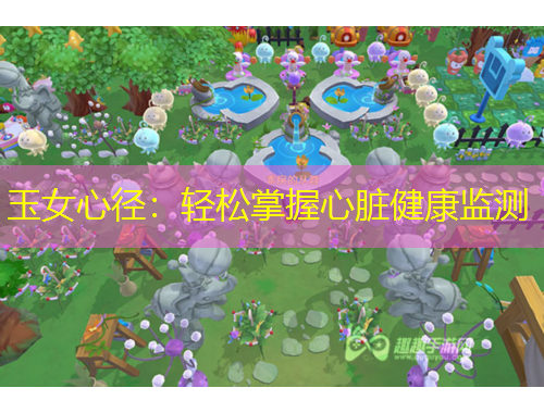 玉女心徑：輕松掌握心臟健康監(jiān)測(cè)