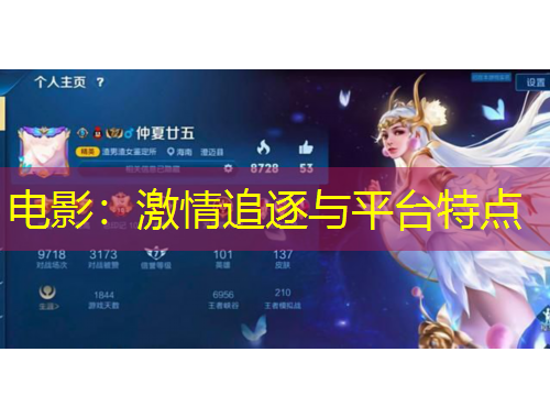 電影：激情追逐與平臺(tái)特點(diǎn)