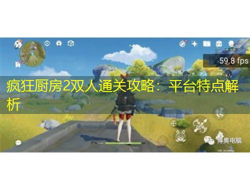 瘋狂廚房2雙人通關(guān)攻略：平臺(tái)特點(diǎn)解析