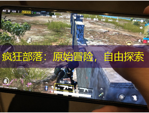 瘋狂部落：原始冒險(xiǎn)，自由探索