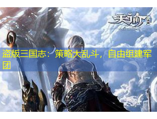 盜版三國(guó)志：策略大亂斗，自由組建軍團(tuán)