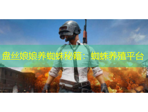 盤絲娘娘養(yǎng)蜘蛛秘籍：蜘蛛養(yǎng)殖平臺