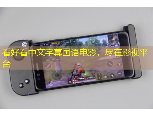 看好看中文字幕國(guó)語(yǔ)電影，盡在影視平臺(tái)
