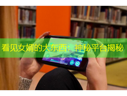 看見女婿的大東西：神秘平臺揭秘