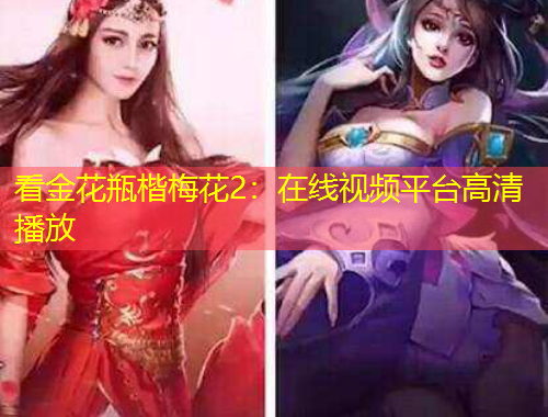 看金花瓶楷梅花2：在線視頻平臺高清播放