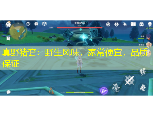 真野豬套：野生風味，家常便宜，品質(zhì)保證