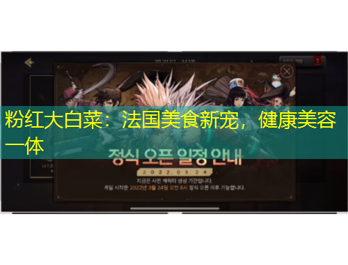 粉紅大白菜：法國(guó)美食新寵，健康美容一體