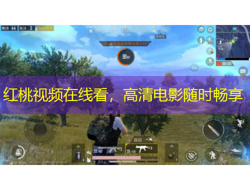 紅桃視頻在線看，高清電影隨時(shí)暢享