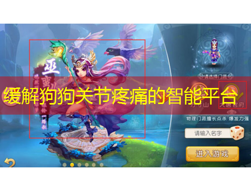 緩解狗狗關(guān)節(jié)疼痛的智能平臺