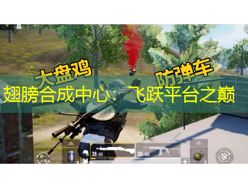 翅膀合成中心：飛躍平臺(tái)之巔