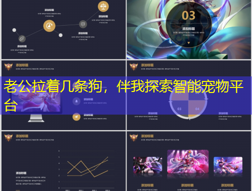 老公拉著幾條狗，伴我探索智能寵物平臺(tái)