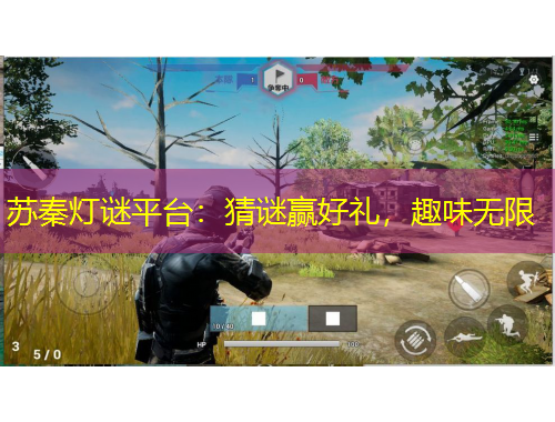 蘇秦燈謎平臺：猜謎贏好禮，趣味無限