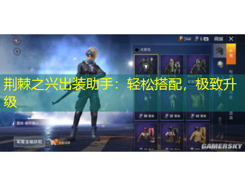 荊棘之興出裝助手：輕松搭配，極致升級(jí)