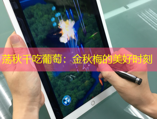 蕩秋千吃葡萄：金秋梅的美好時刻