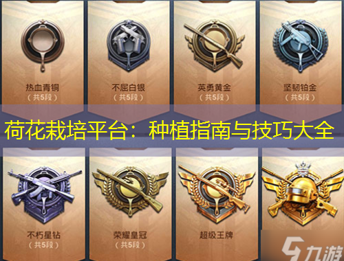 荷花栽培平臺：種植指南與技巧大全