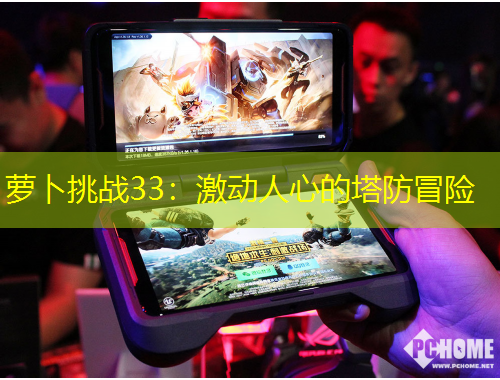 蘿卜挑戰(zhàn)33：激動人心的塔防冒險