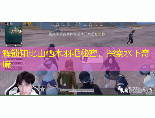 解鎖知比山棲木羽毛秘密，探索水下奇境