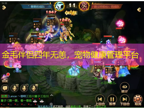 金毛伴侶四年無恙，寵物健康管理平臺