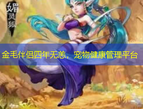 金毛伴侶四年無恙，寵物健康管理平臺