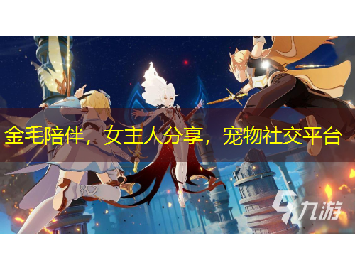 金毛陪伴，女主人分享，寵物社交平臺