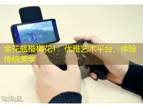 金花瓶楷梅花1：優(yōu)雅藝術(shù)平臺，體驗傳統(tǒng)美學(xué)