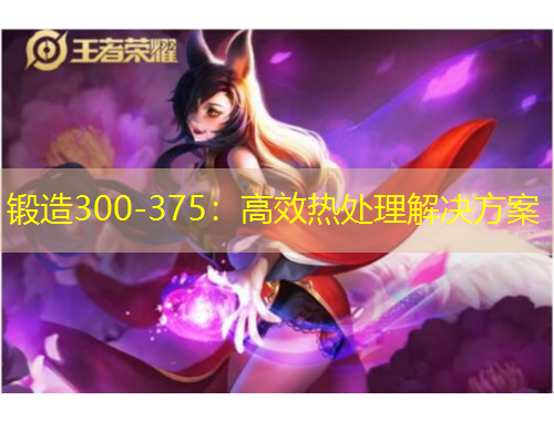 鍛造300-375：高效熱處理解決方案