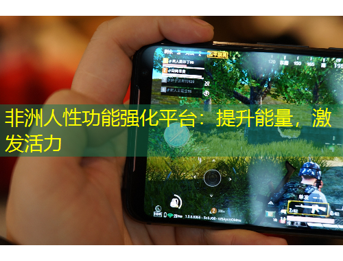 非洲人性功能強(qiáng)化平臺：提升能量，激發(fā)活力