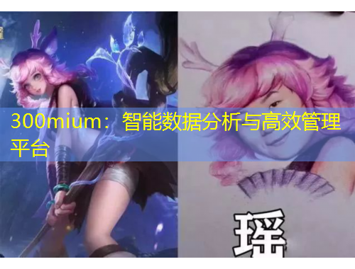 300mium：智能數(shù)據(jù)分析與高效管理平臺
