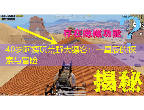 40歲阿姨玩荒野大鏢客：一星辰的探索與冒險(xiǎn)