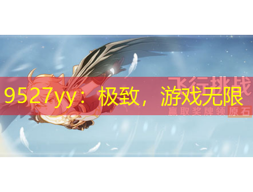 9527yy：極致，游戲無限