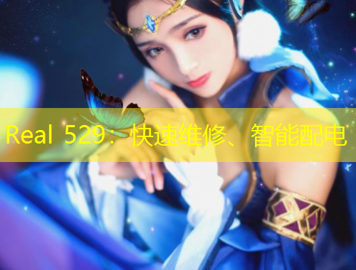 Real 529：快速維修、智能配電