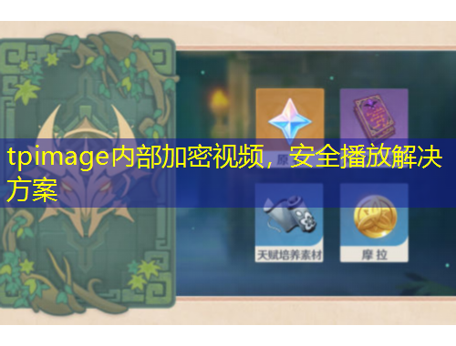 tpimage內(nèi)部加密視頻，安全播放解決方案