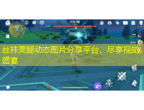 絲襪美腿動態(tài)圖片分享平臺，盡享視覺盛宴