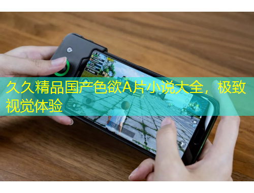 久久精品國(guó)產(chǎn)色欲A片小說(shuō)大全，極致視覺(jué)體驗(yàn)