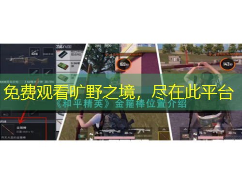 免費(fèi)觀看曠野之境，盡在此平臺(tái)