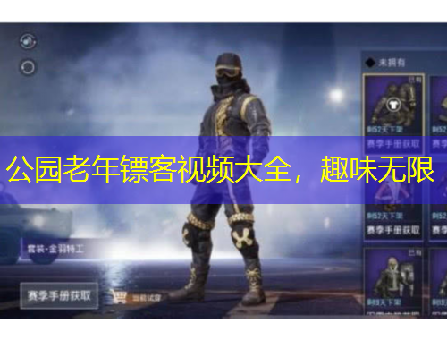 公園老年鏢客視頻大全，趣味無限