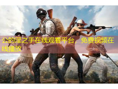 公的淫之手在線觀看平臺，免費視頻在線播放