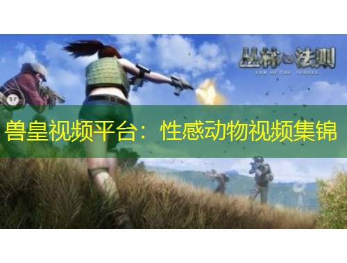 獸皇視頻平臺(tái)：性感動(dòng)物視頻集錦