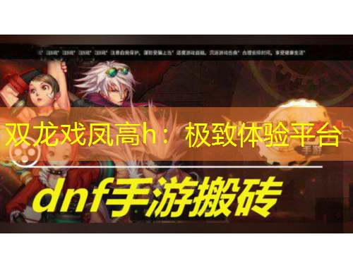 雙龍戲鳳高h(yuǎn)：極致體驗(yàn)平臺(tái)