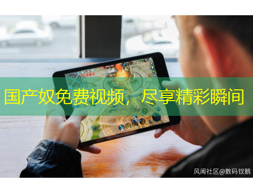 國產(chǎn)奴免費視頻，盡享精彩瞬間