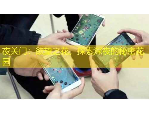 夜關(guān)門：欲望之花，探索深夜的秘密花園