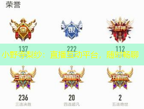 小野寺梨紗：直播互動平臺，隨時暢聊