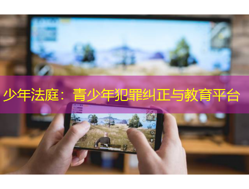 少年法庭：青少年犯罪糾正與教育平臺