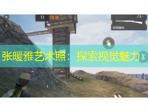 張暖雅藝術(shù)照：探索視覺(jué)魅力