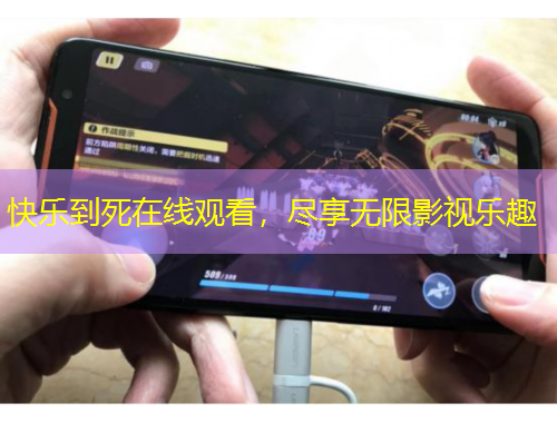 快樂到死在線觀看，盡享無限影視樂趣